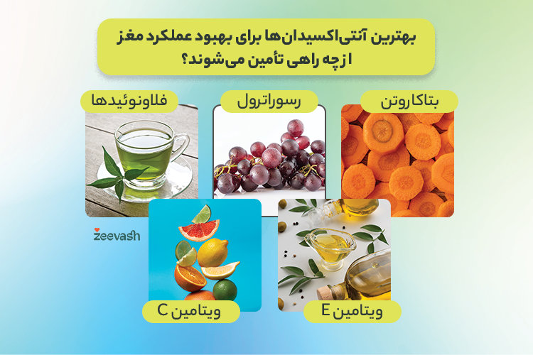 بهترین آنتی اکسیدان ها برای بهبود عملکرد مغز از چه راه هایی تأمین می شوند؟